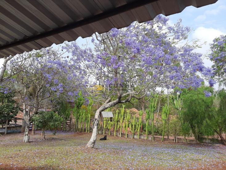 rancho-venda-area-rural-piumhi-1126254