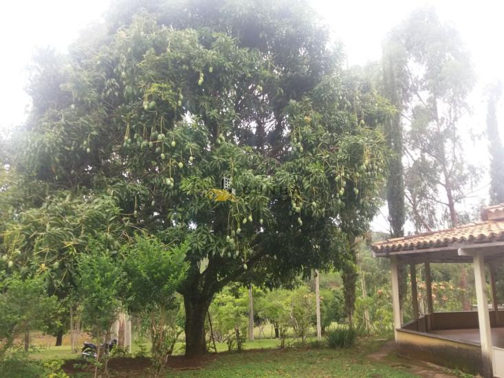 sitio-venda-area-rural-piumhi-1126283